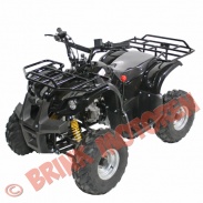 Quads/ATV's - Quad/ATV 110cc Bull (zwart) - 110cc - 201 zwart